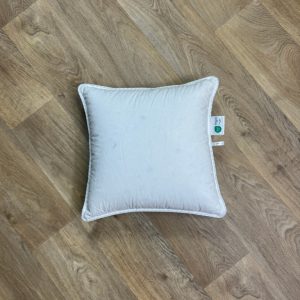 Oreiller plumettes fines 40x40
